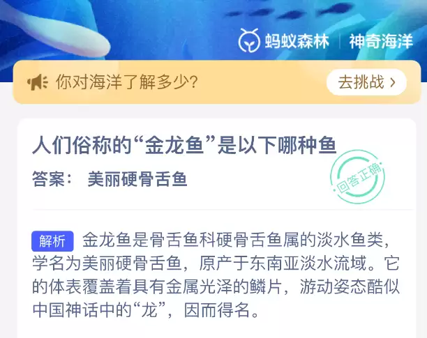 �����׳ƵĽ�����������������