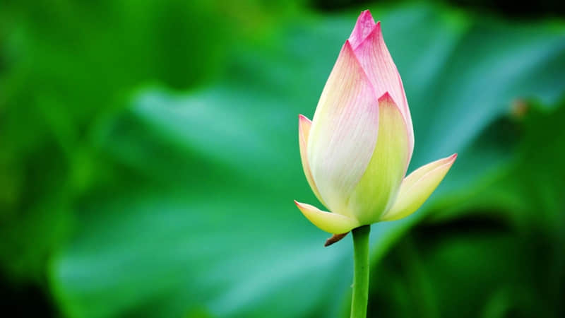 ������̺�����