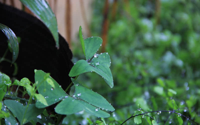 "你没义务是我上头了"_wishdown.com "你没义务是我上头了"_wishdown.com