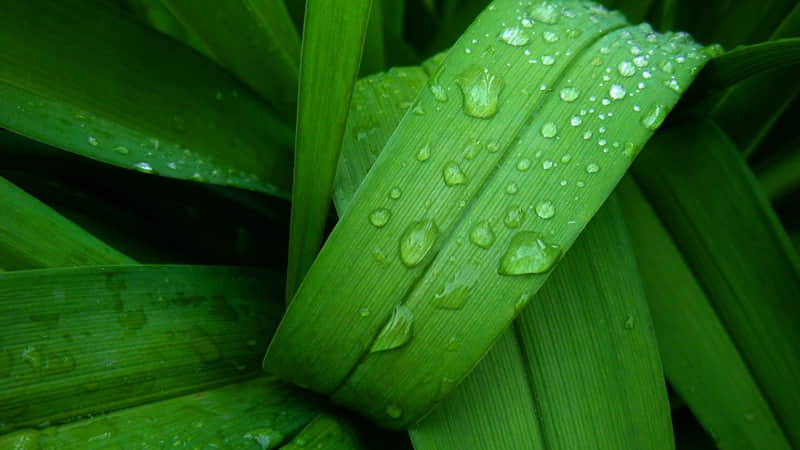 һ�����ۿ�ʼ��ǿ����������