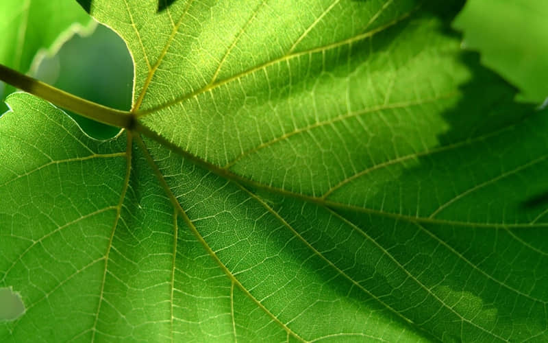 你越这么讲他越忍不住联系你_wishdown.com 你越这么讲他越忍不住联系你_wishdown.com