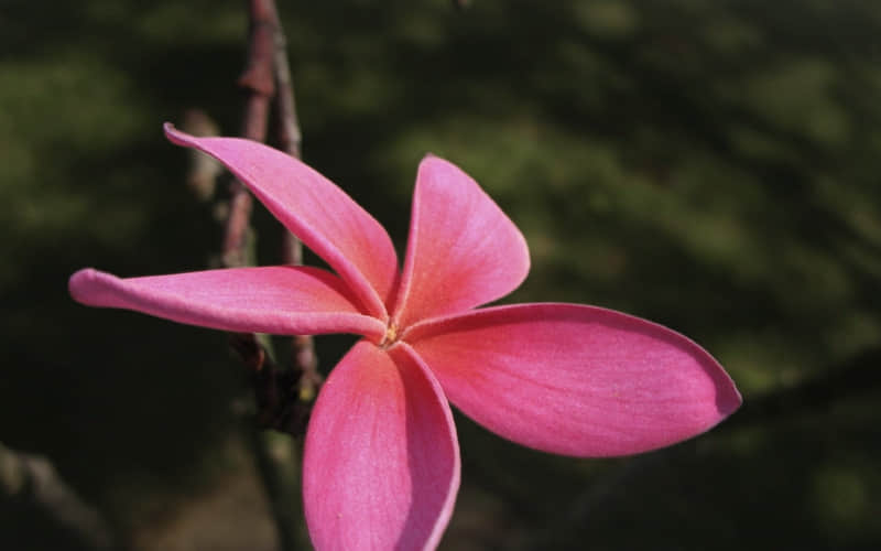 ��䲻��ƫ����䶼��ƫ��