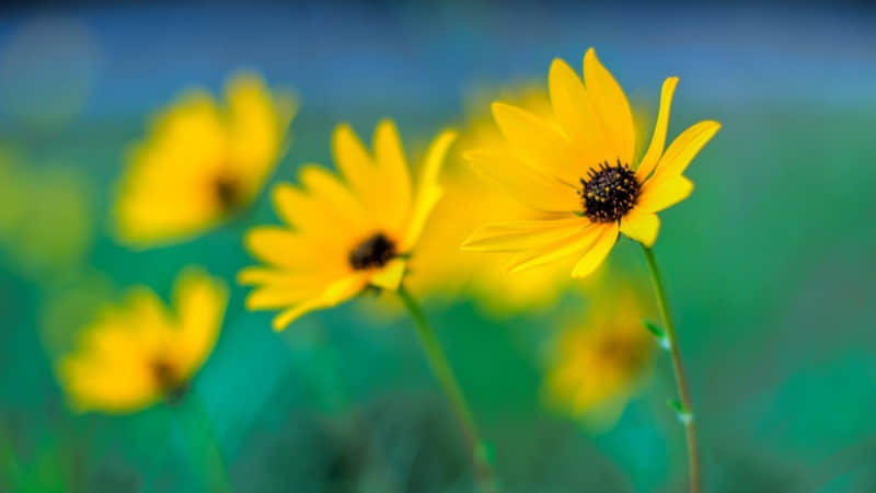4月.第一眼就很喜欢的朋友圈文案_wishdown.com 4月.第一眼就很喜欢的朋友圈文案_wishdown.com