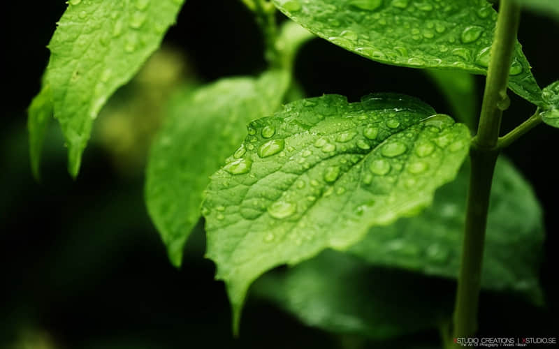 4月.第一眼就很喜欢的朋友圈文案_wishdown.com 4月.第一眼就很喜欢的朋友圈文案_wishdown.com