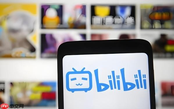 B站官网登录入口地址-B站网页版极速访问通道_wishdown.com Bilibili官网登录入口地址分享-Bilibili网页版快速访问通道