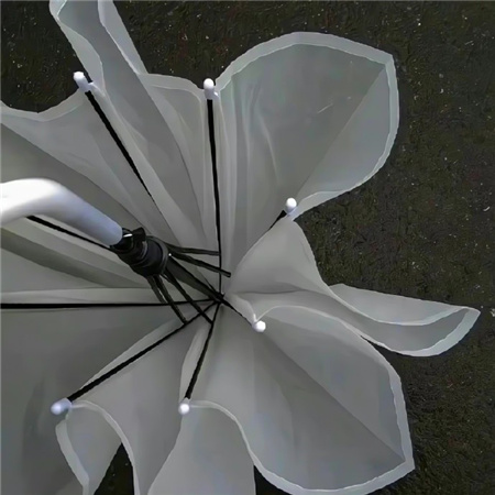 �˸з��ݵ�����Ů��(��ѡ100��)