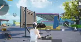 ��ƽ��Ӣ�Թ���ѵ��������ᱬը