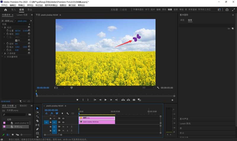 Premiere��ô���������趯��