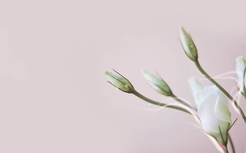 近期杀疯了的高质量清醒文案_wishdown.com 近期杀疯了的高质量清醒文案_wishdown.com