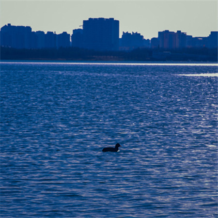 �����˸�����Ů���ɰ�(��ѡ100��)