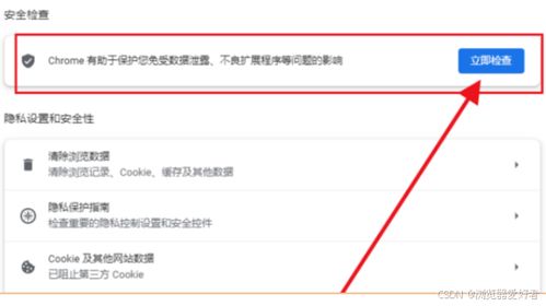 谷歌浏览器怎样进行安全检查-谷歌浏览器如何开展安全检查_wishdown.com 谷歌浏览器怎样进行安全检查-谷歌浏览器如何开展安全检查_wishdown.com