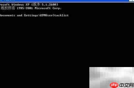 输入tasklist命令