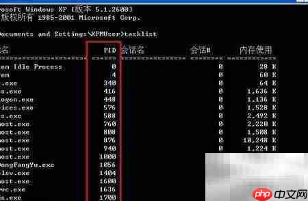 显示进程列表及PID