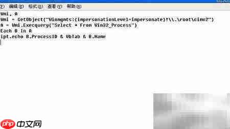 在记事本中粘贴脚本
