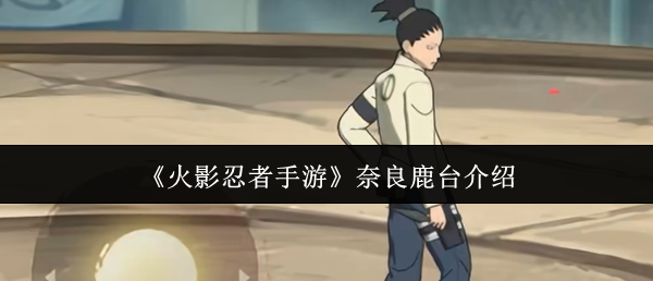 ����Ӱ�������Ρ�����¹̨����