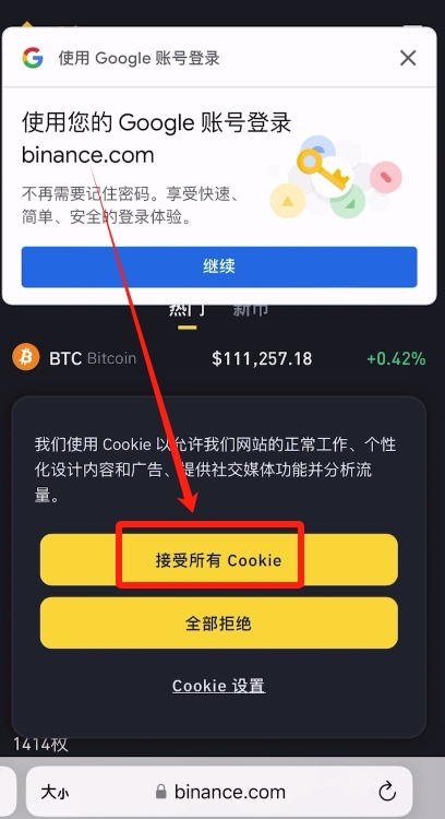 币安官网怎么注册?手把手教你币安Binance官网注册流程_wishdown.com 币安官网界面及Cookie提示