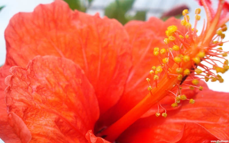 ��Խ������˵Խû�˸�������