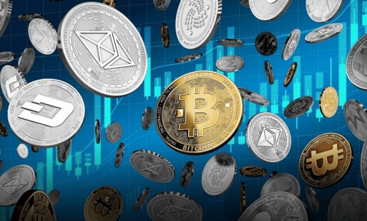 ɽկ�Ҽ���ָ����ʲô?ָ���µ���ζ��ʲô?ɽկ��Ͷ�ʽ������