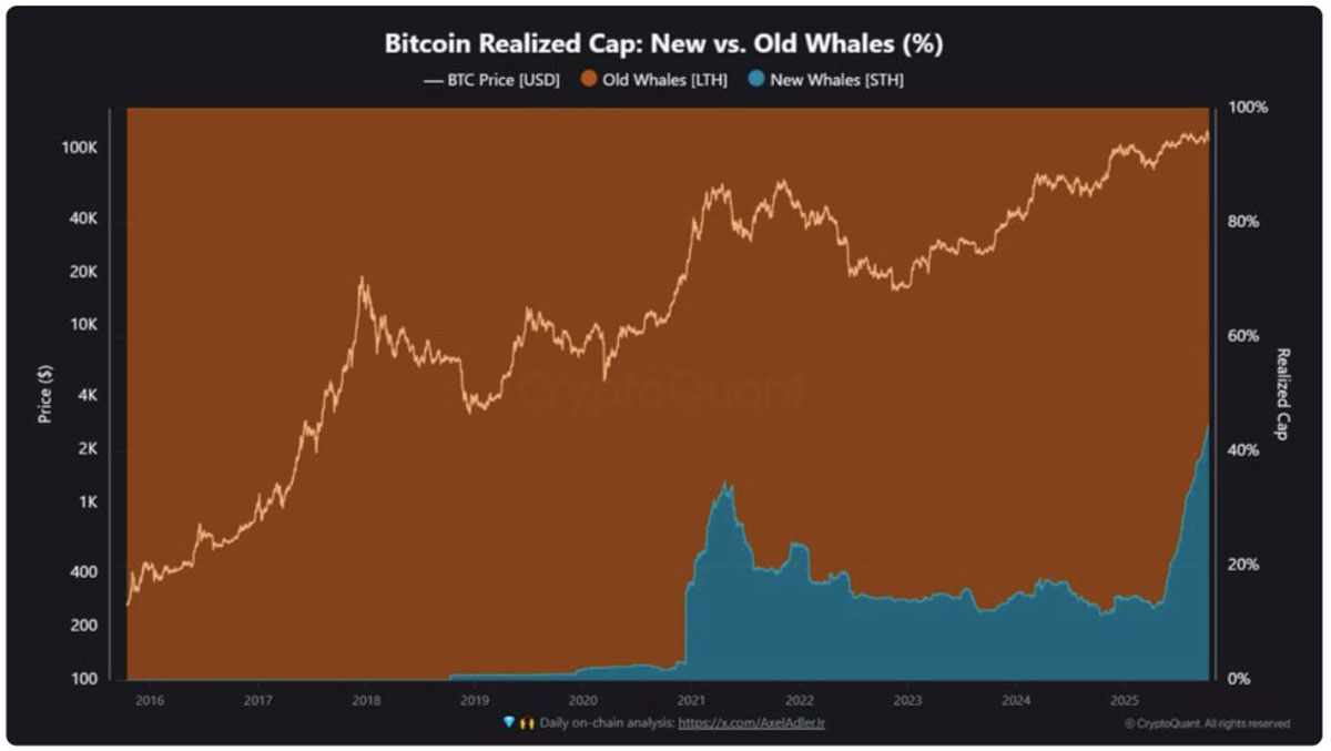 一文了解比特币(BTC)指标显示 比特币巨鲸已实现市值所有权变化