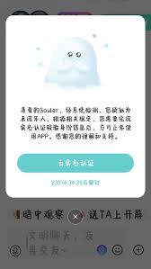 空浪旅行如何进行实名认证_wishdown.com 空浪旅行如何进行实名认证