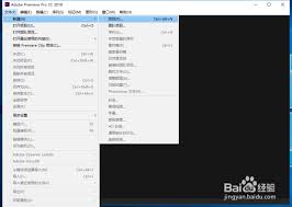 premiere��ô�Ŵ���Сʱ����