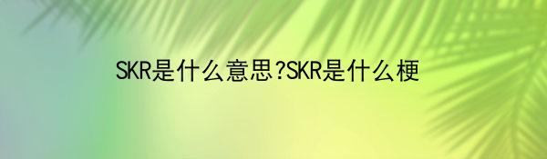 SKR究竟是什么意思?SKR这个梗到底怎么火起来的_wishdown.com SKR是什么意思?SKR是什么梗