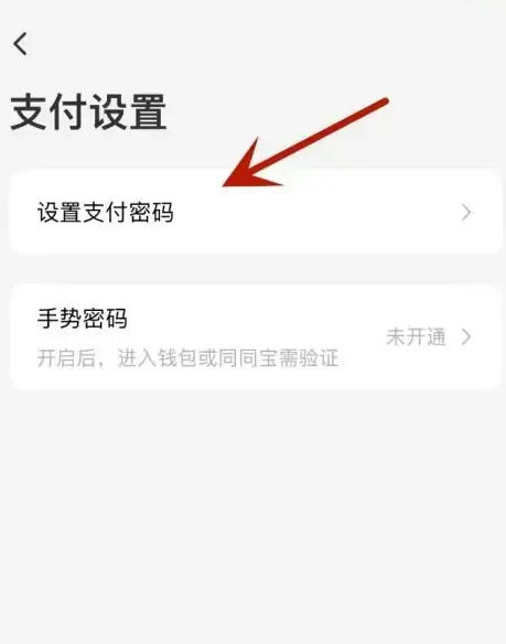 同程旅行怎么设置支付密码?-同程旅行设置支付密码的方法_wishdown.com 同程旅行怎么设置支付密码?-同程旅行设置支付密码的方法_wishdown.com