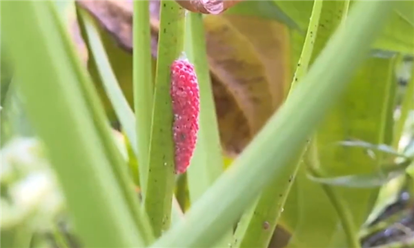 ���ڸ����ݴ���ð�������ֶ������ϼ�������6000�� ǧ���ԣ�