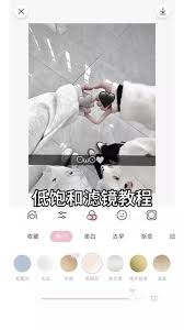 日杂相机app渐变功能如何使用-日杂相机app渐变功能的使用方法_wishdown.com 日杂相机app渐变功能如何使用-日杂相机app渐变功能的使用方法_wishdown.com