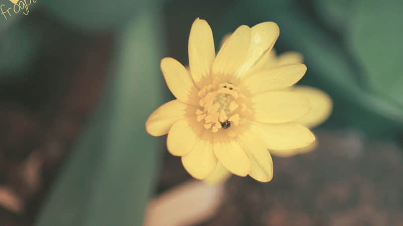 我的爱停了那就翻篇吧_wishdown.com 我的爱停了那就翻篇吧_wishdown.com