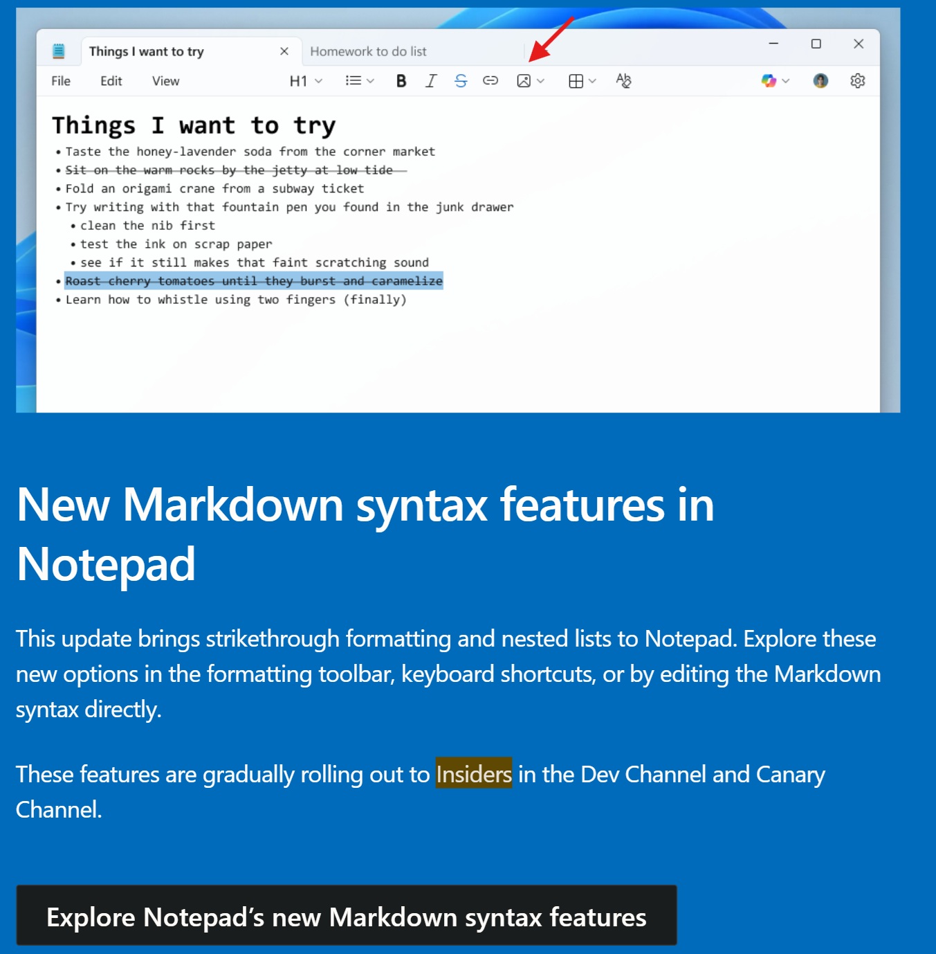 43 年来最大变革:微软 Win11 版记事本将告别纯文本,测试原生插入图片_wishdown.com 记事本中插入图片的操作界面示意