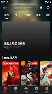 坚果视频app如何设置中文字幕_wishdown.com 坚果视频app字幕视觉设置界面