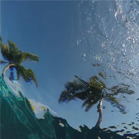 lol伤感孤独网名女生(精选100个)_wishdown.com lol伤感孤独网名女生(精选100个)_wishdown.com