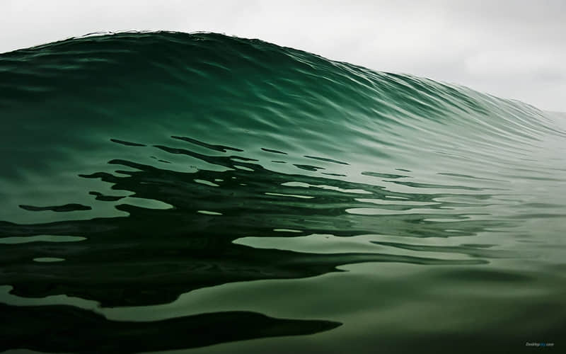 央视太会写了一眼就爱上的句子_wishdown.com 央视太会写了一眼就爱上的句子_wishdown.com