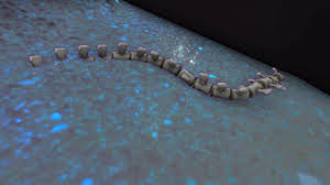 魔兽世界骷髅尾骨位置在哪_wishdown.com 魔兽世界骷髅尾骨位置示意图