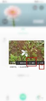 形色识花中拍的照片怎么删除_wishdown.com 形色识花中拍的照片怎么删除_wishdown.com