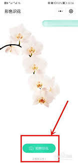 形色识花中拍的照片怎么删除_wishdown.com 形色识花中拍的照片怎么删除_wishdown.com