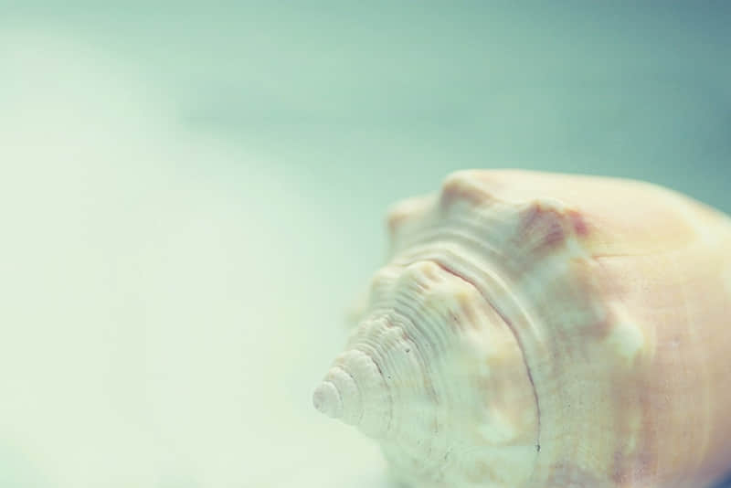 喝8+1这样发笑死你的朋友圈_wishdown.com 喝8+1这样发笑死你的朋友圈_wishdown.com