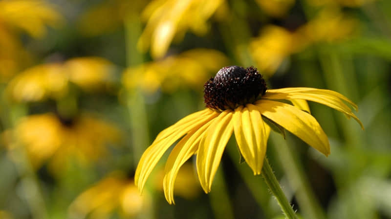 喝8+1这样发笑死你的朋友圈_wishdown.com 喝8+1这样发笑死你的朋友圈_wishdown.com