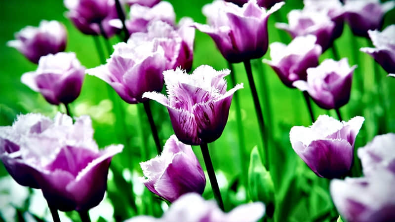 "老板娘朋友圈这样发做自己尽欢喜_wishdown.com "老板娘朋友圈这样发做自己尽欢喜_wishdown.com