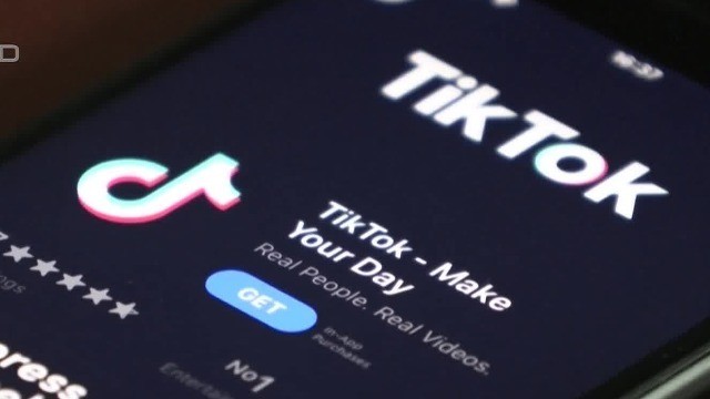 TikTok免安装极速入口_wishdown.com TikTok免安装入口-TikTok在线免费看视频入口