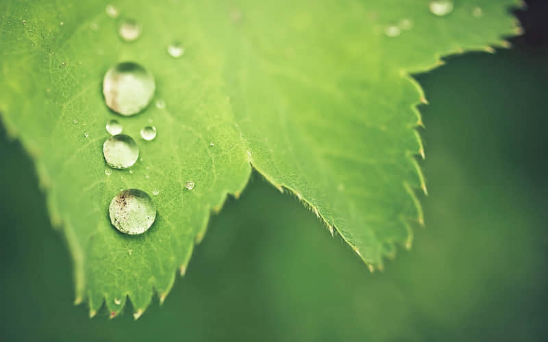 你越会跟男人要他越爱你入骨_wishdown.com 你越会跟男人要他越爱你入骨_wishdown.com