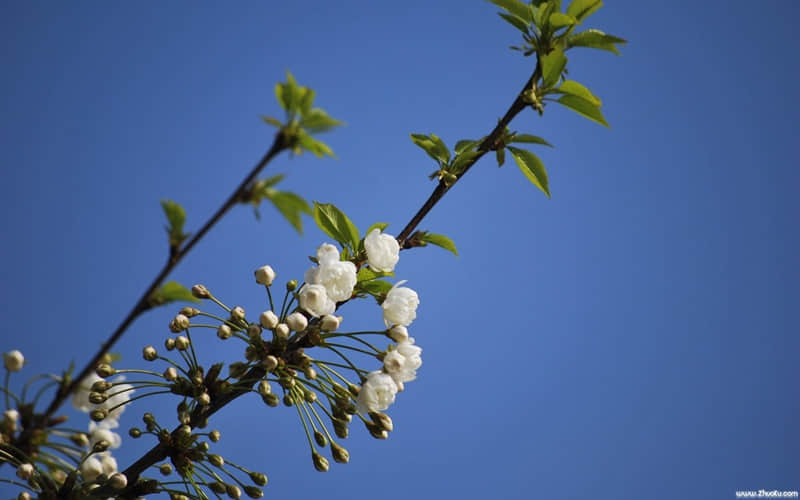 你越会跟男人要他越爱你入骨_wishdown.com 你越会跟男人要他越爱你入骨_wishdown.com