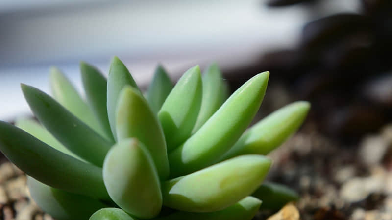 明明是骂人听起来却像夸人的句子太有意思了_wishdown.com 明明是骂人听起来却像夸人的句子太有意思了_wishdown.com