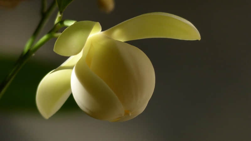 ����һ�����Լ�