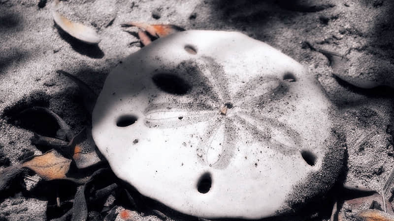 偷一句拿去调戏一下你的心上人_wishdown.com 偷一句拿去调戏一下你的心上人_wishdown.com