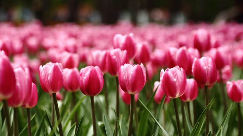 "句子很短骂人很狠"_wishdown.com "句子很短骂人很狠"_wishdown.com