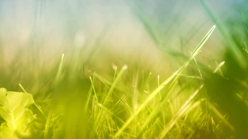 �����������һ��Ů�˵Ķ�������