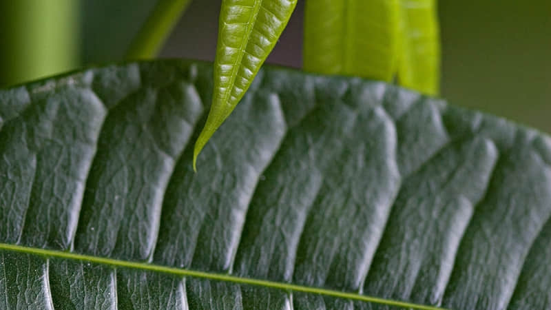 藏起来这才是一个女人的顶级三观_wishdown.com 藏起来这才是一个女人的顶级三观_wishdown.com