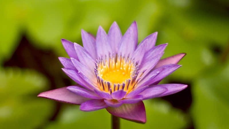 朋友圈最近很火的 我嘛 文案太招财了_wishdown.com 朋友圈最近很火的 我嘛 文案太招财了_wishdown.com